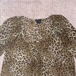 Shear Leopard Print Shirt✨